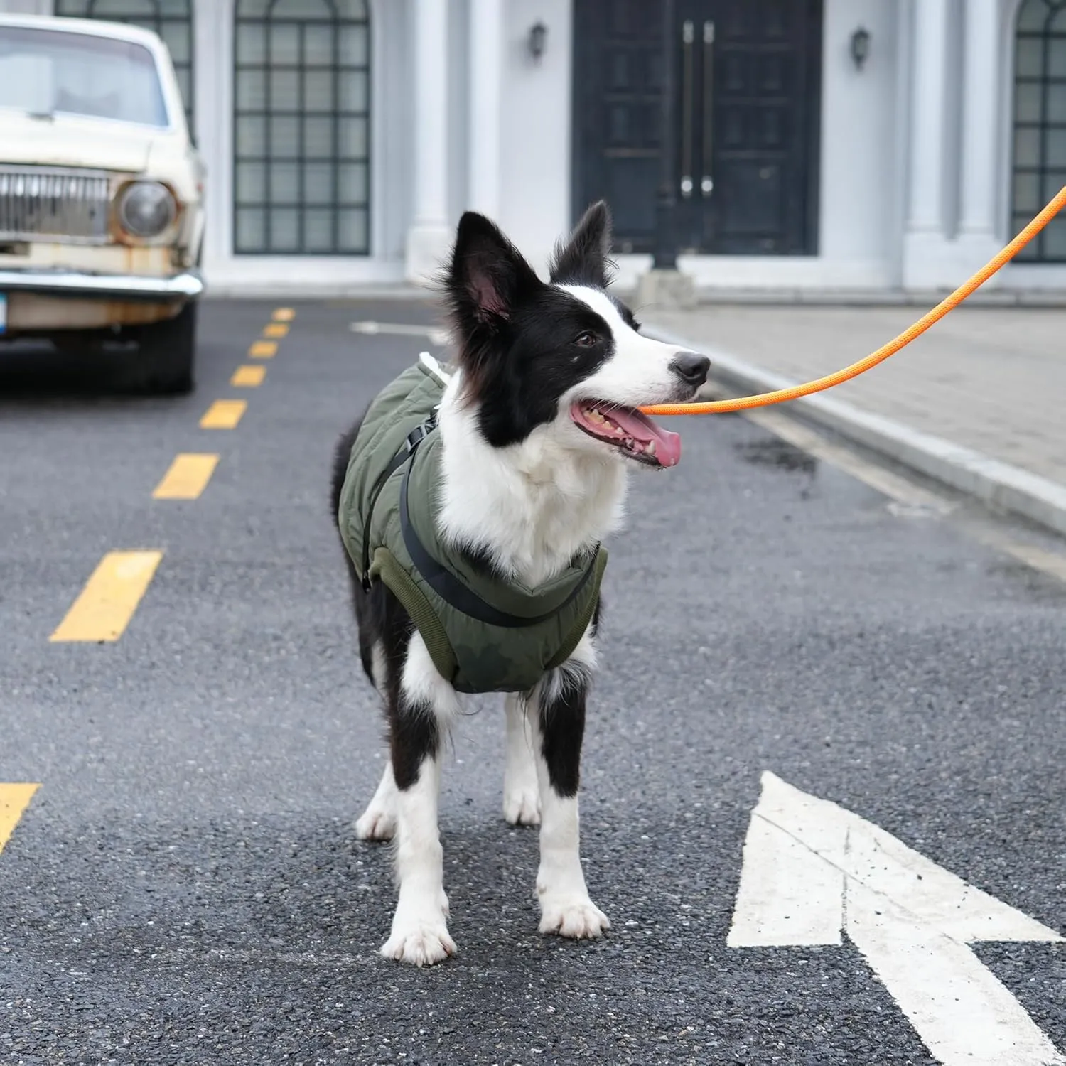 Dog Jacket with Harness,Fleece Lined Warm Puppy Coat for Winter,Soft Windproof Small Dog Vest,Green S