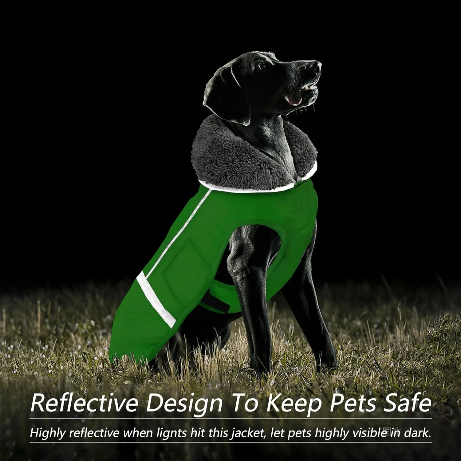 Dogcheer Winter Coat, Waterproof Jacket Adjustable With Buckle, Reflective Snow Jacket Soft Cozy Fleece Vest Sweater for Small Medium Large Dogs - Green XL