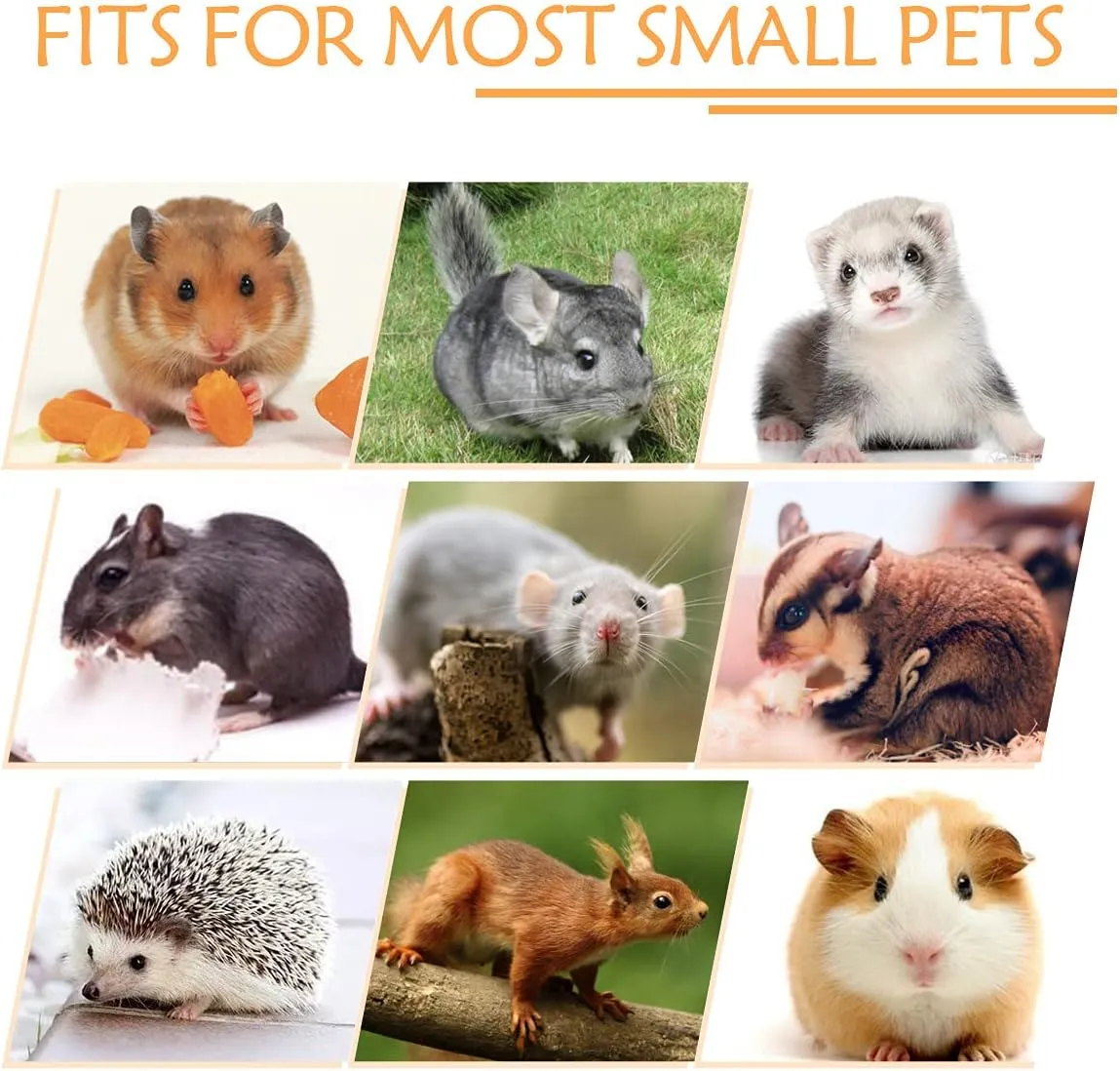 Guinea Pig Ferret Rat Hammock Toy Small Animal Cage Accessories Hideout Tunnel & Bunkbed Hammock for Rat Ferret Guinea Pig Hamster Sugar Glider Chinchilla