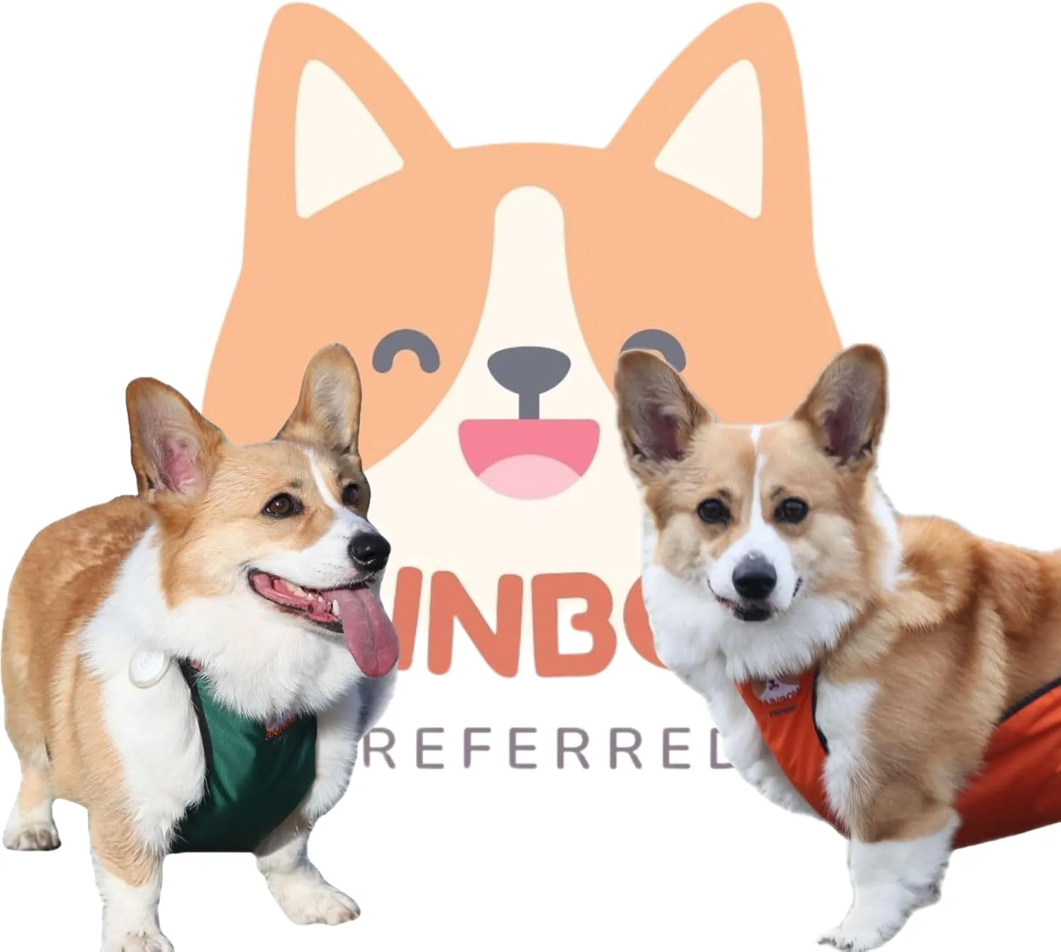 RainbowPreferred Waterproof Dog Belly Protector Belly Cover Raincoat Rain Jacket Belly Band Recovery Suite Apron for Dog Clothes Costume